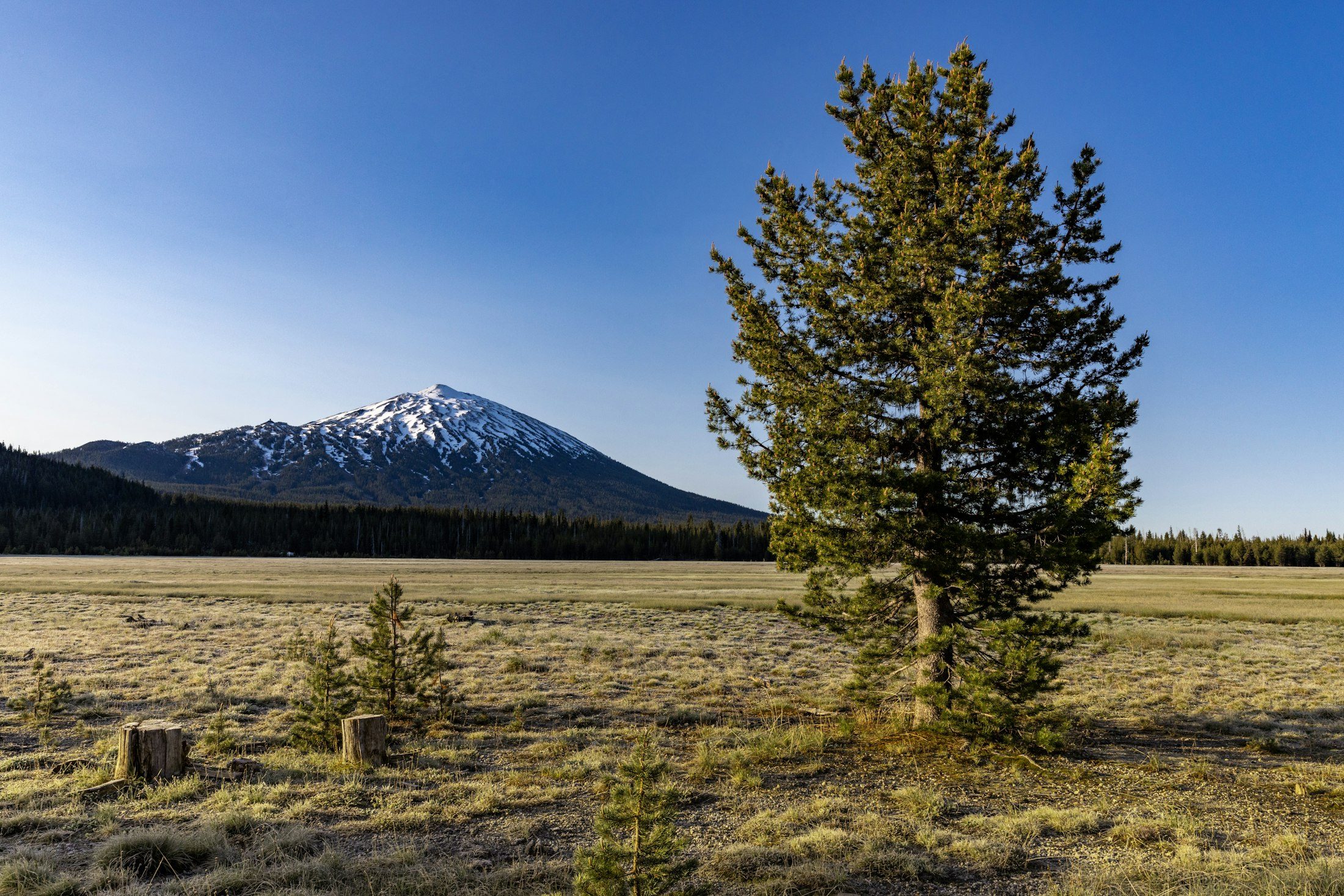 Cascade mountain and lake landscape in Oregon
