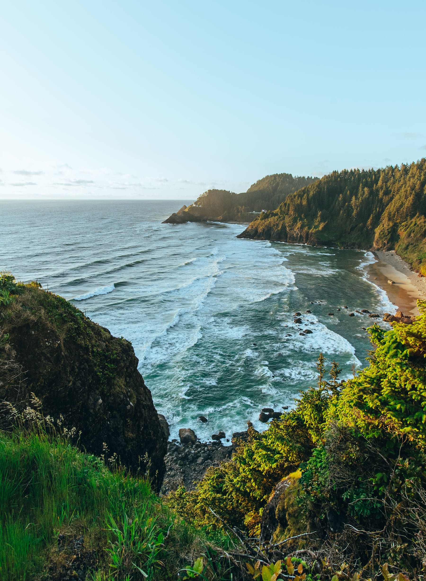 Forested headlands and Pacific surf along the Oregon Coast near Cape Perpetua