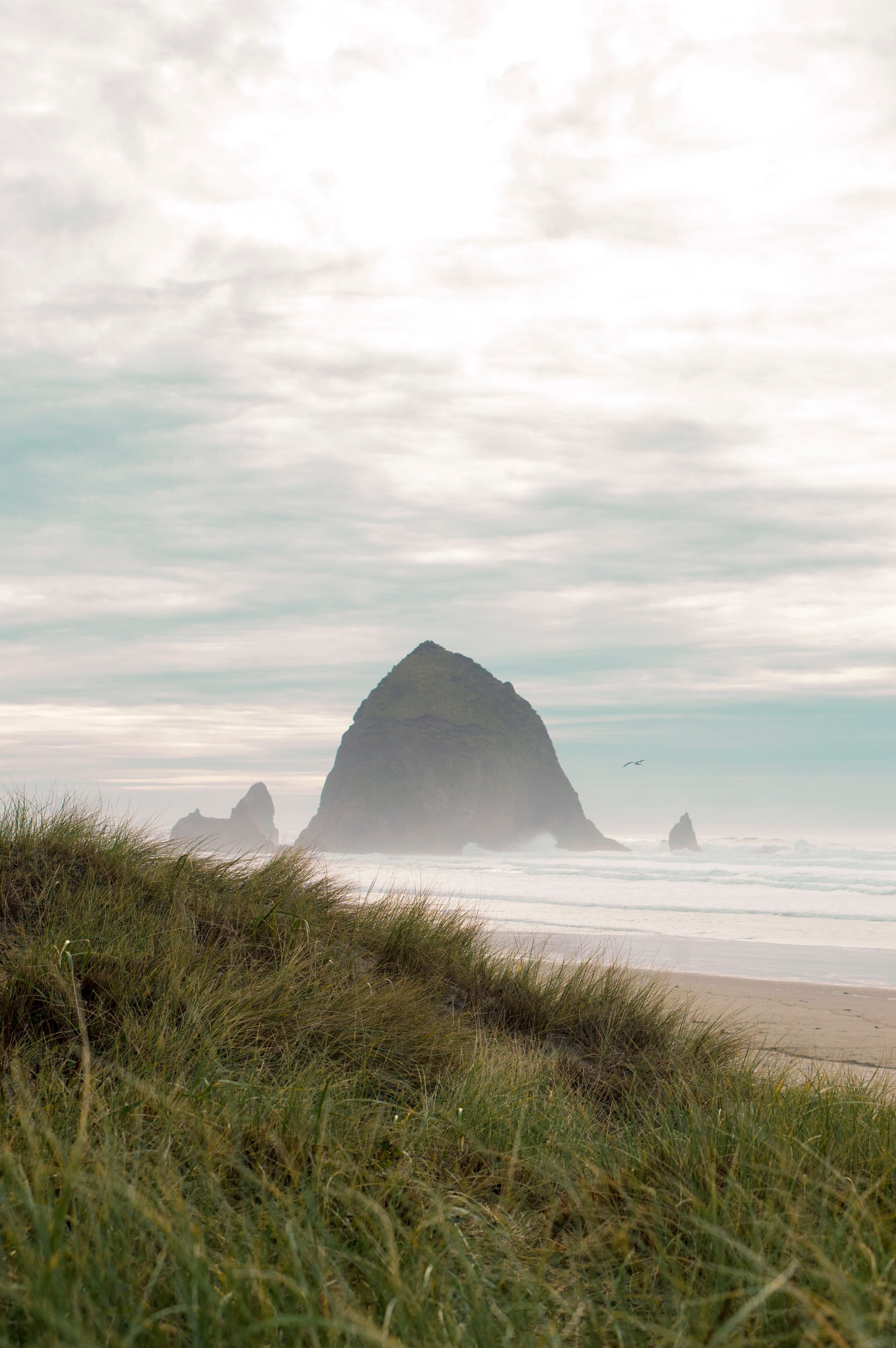 Haystack Rock rising through coastal mist at Cannon Beach, Oregon