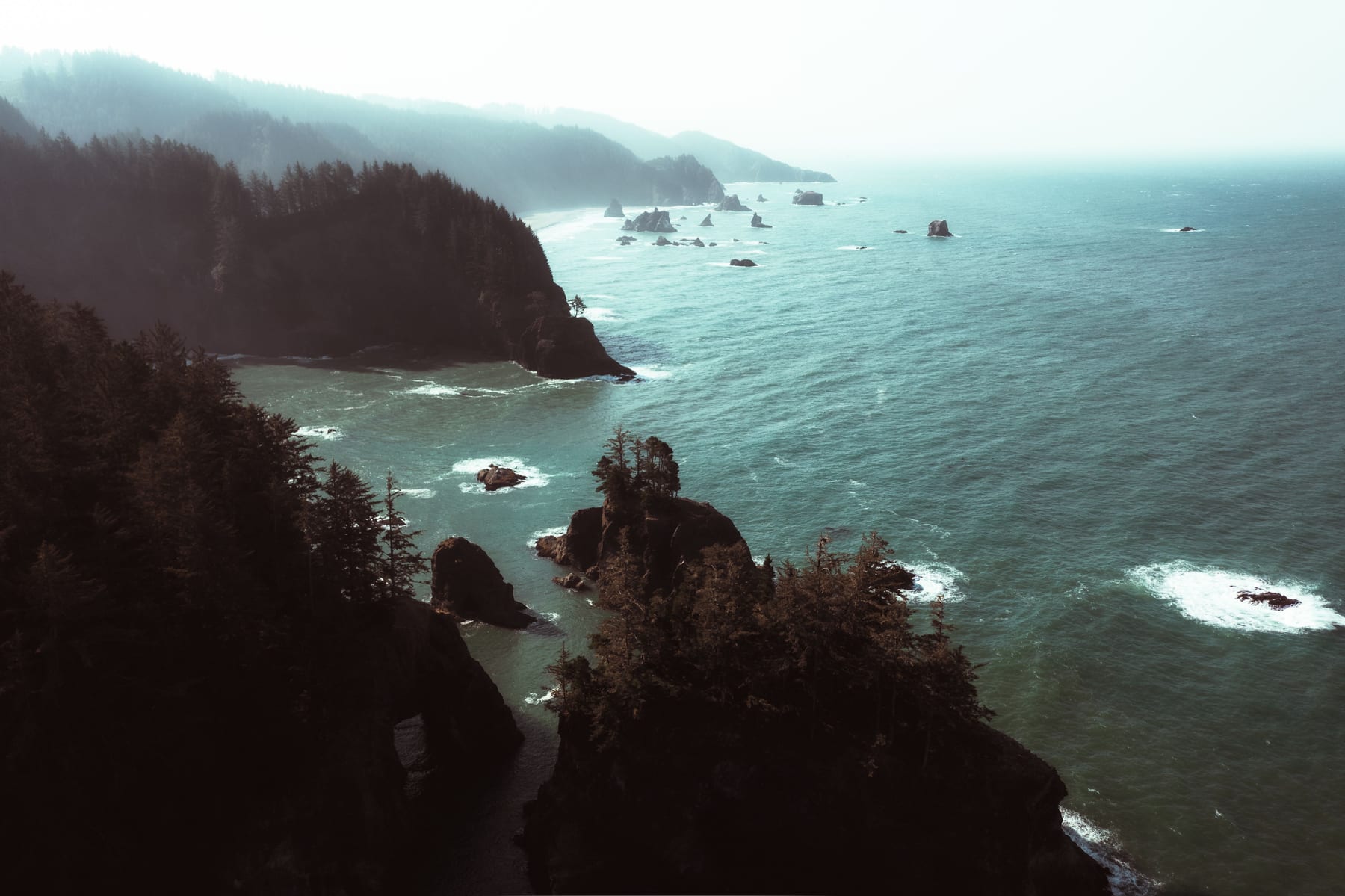 Misty rocky coastline and Pacific Ocean near Brookings, Oregon